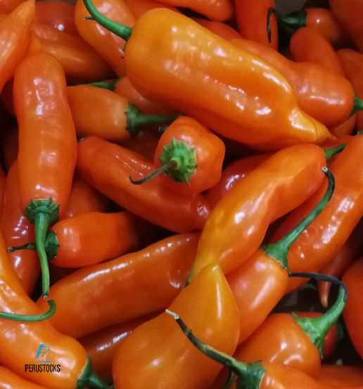 Ají amarillo fresco